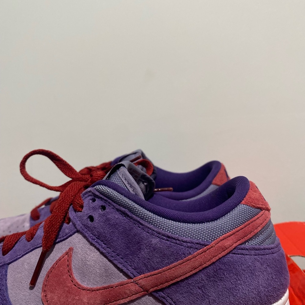 Nike Burgundy and Violet Sneakers